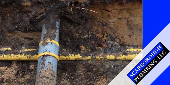 Sewer Line Repair Services in Gainesville, FL